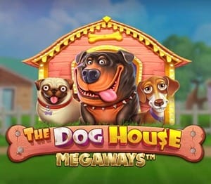 The Dog House Megaways Slot By Pragmatic Play Logo