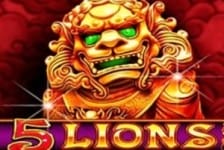 5 lions slot by pragmatic play logo